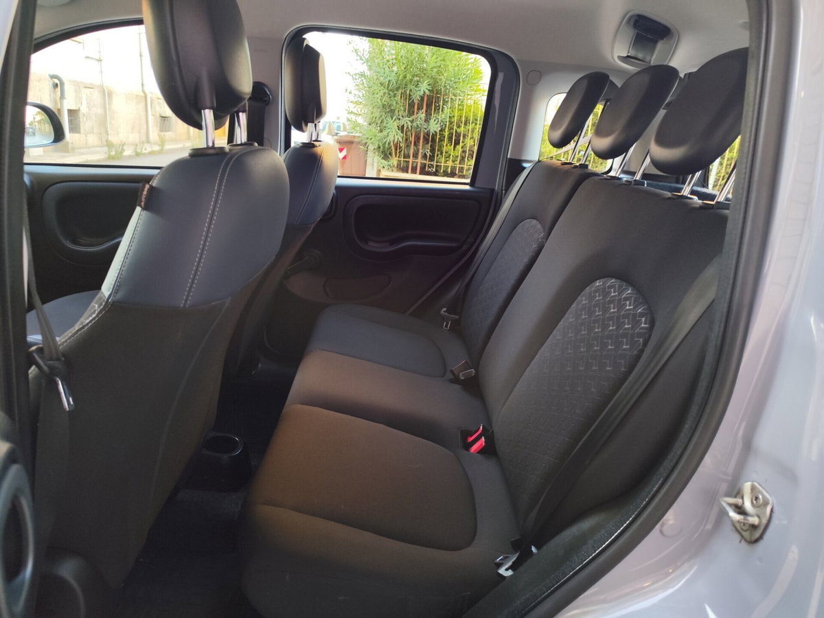 Fiat Panda Cross Cross 1.0 FireFly S&S Hybrid (20)