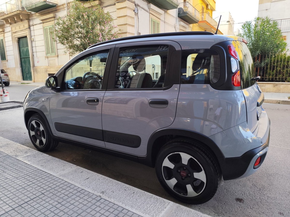 Fiat Panda Cross Cross 1.0 FireFly S&S Hybrid (6)