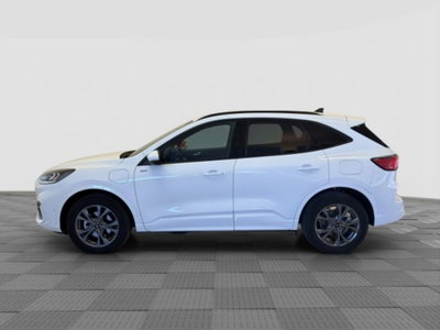 Ford Kuga 2.5 Plug In Hybrid 225 CV CVT 2WD ST-Line (2)