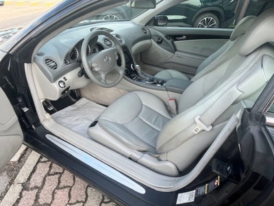 Mercedes-Benz SL 350 cat (10)