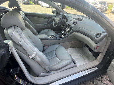 Mercedes-Benz SL 350 cat (11)