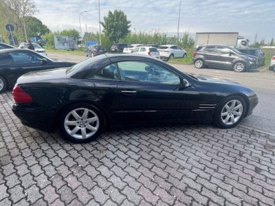 Mercedes-Benz SL 350 cat (3)