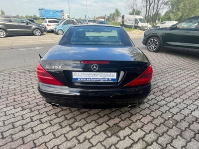 Mercedes-Benz SL 350 cat (4)