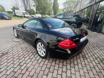 Mercedes-Benz SL 350 cat (5)