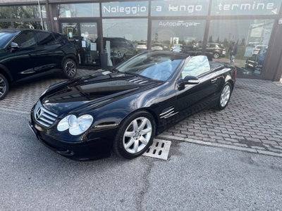 Mercedes-Benz SL 350 cat (6)