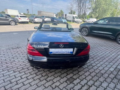 Mercedes-Benz SL 350 cat (7)