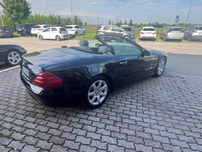 Mercedes-Benz SL 350 cat (8)