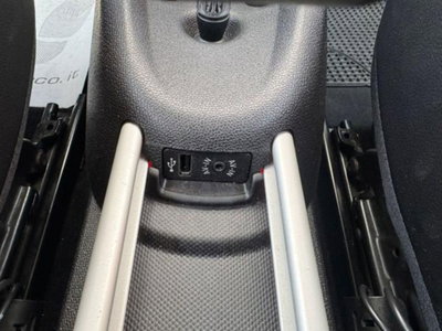 MINI Mini Countryman 2.0 Cooper D Park Lane Countryman Automatica (13)