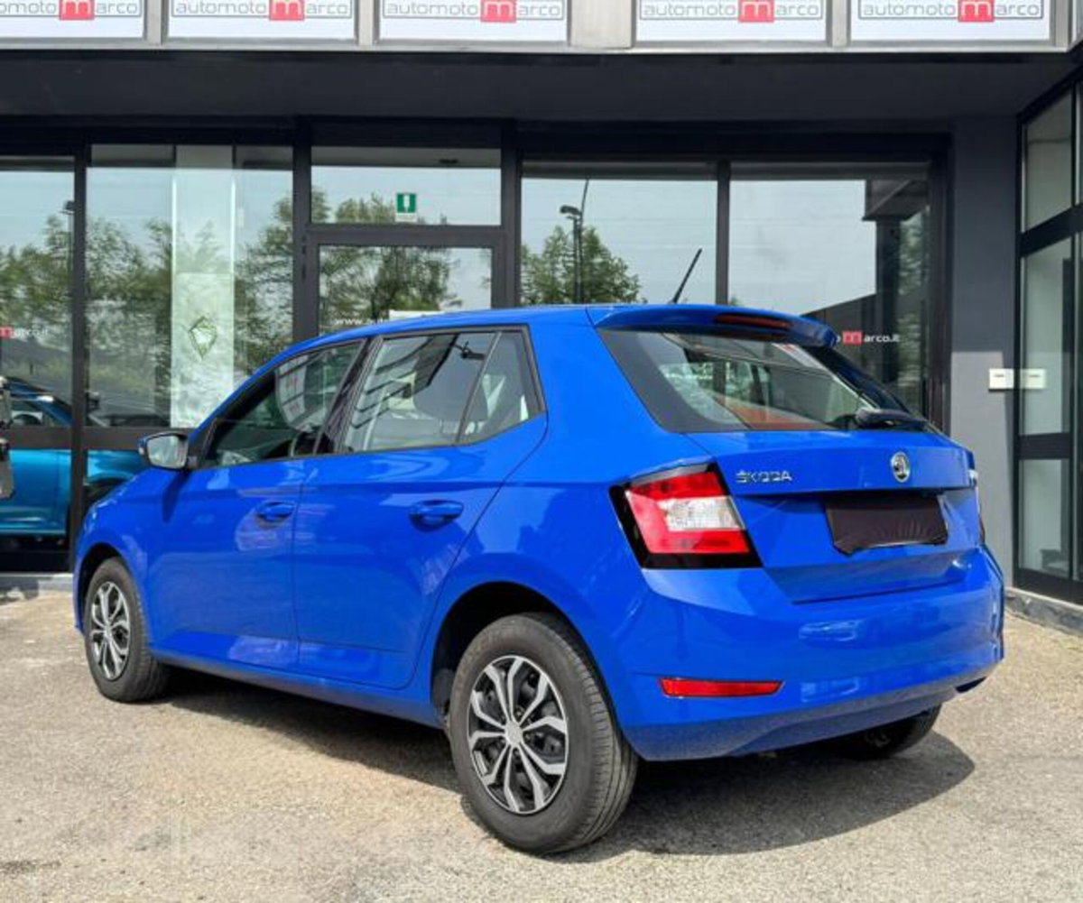 Skoda Fabia 1.0 MPI 60 CV Business (6)