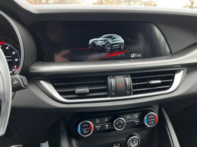 Alfa Romeo Stelvio Stelvio 2.2 Turbodiesel 210 CV AT8 Q4 Veloce Tì (6)