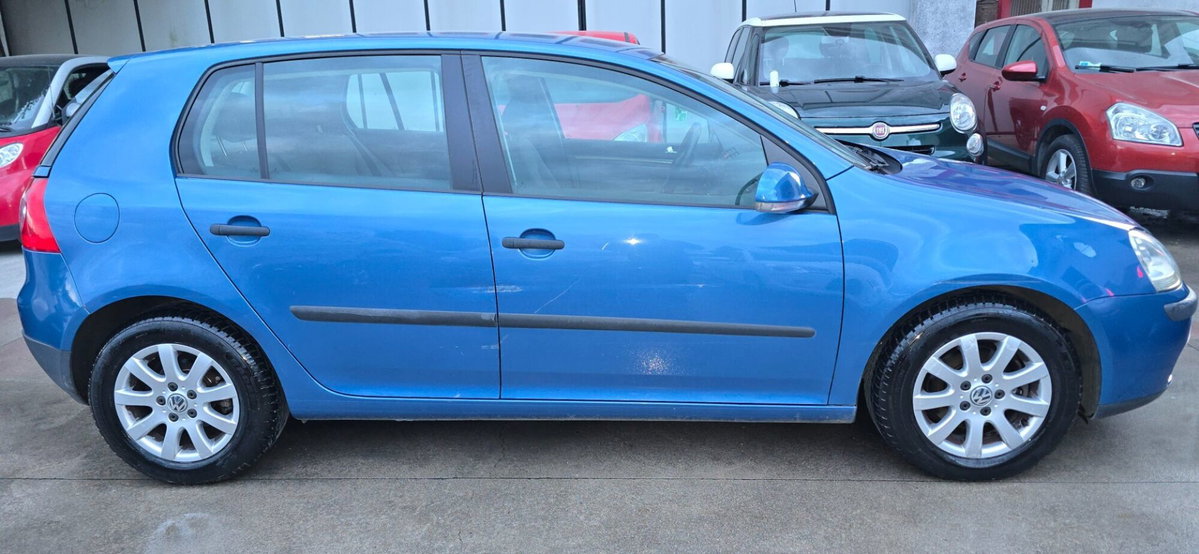 Volkswagen Golf 1.9 TDI 5p. Trendline (9)