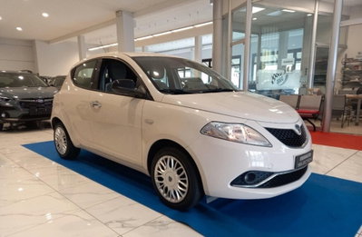 Lancia Ypsilon 1.2 69 CV 5 porte Gold (5)