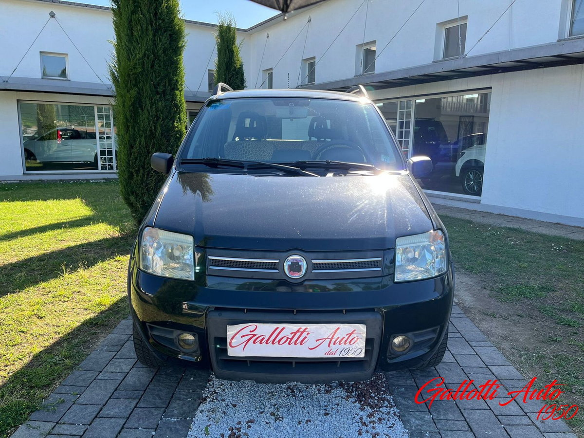 Fiat Panda 1.2 4x4 Climbing (3)