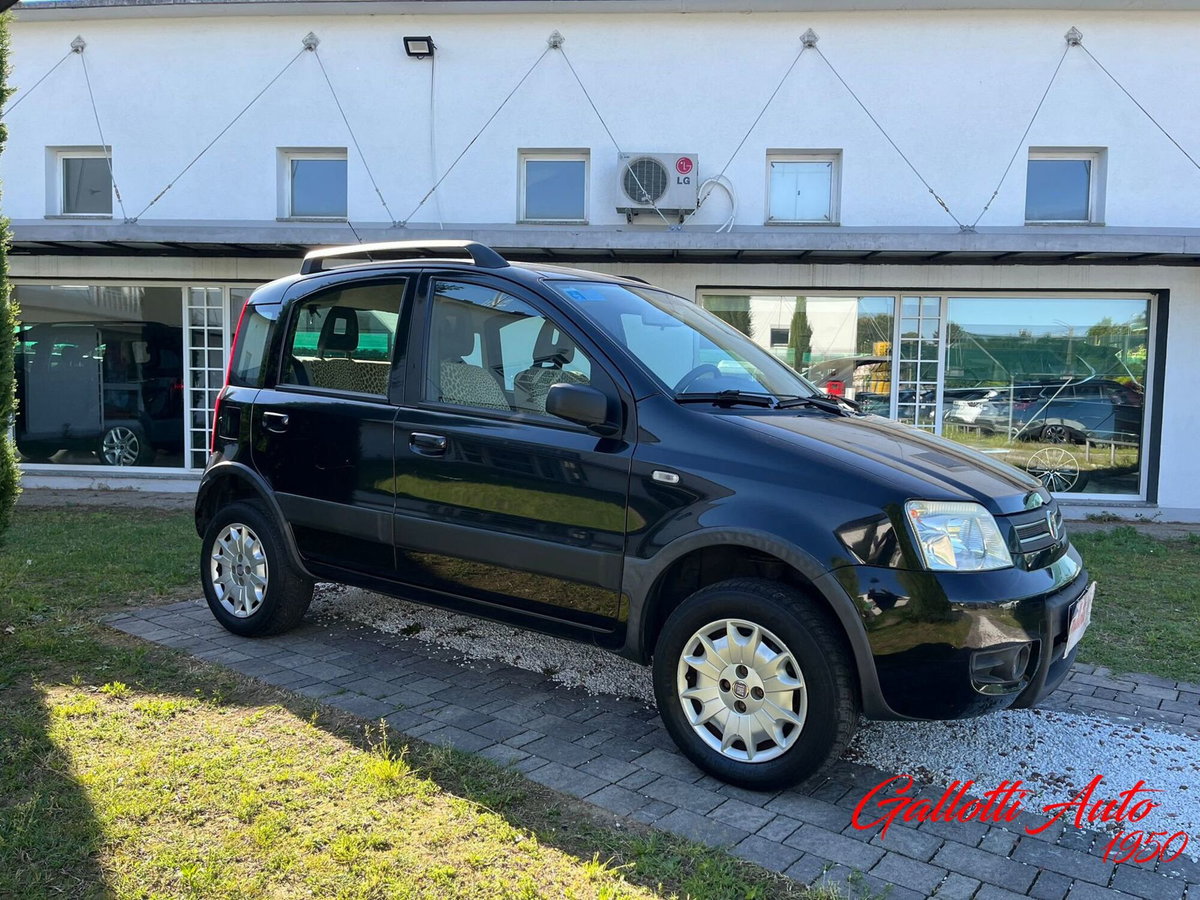 Fiat Panda 1.2 4x4 Climbing (4)