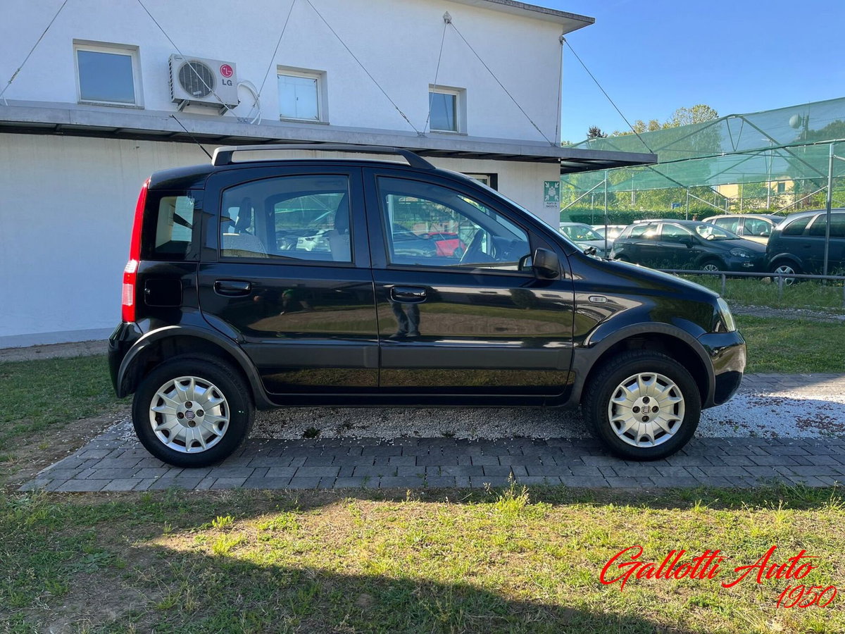 Fiat Panda 1.2 4x4 Climbing (6)