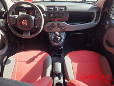 Fiat Panda 1.2 (10)