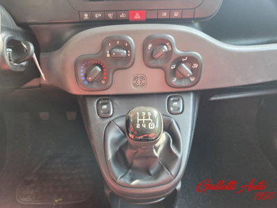 Fiat Panda 1.2 (12)