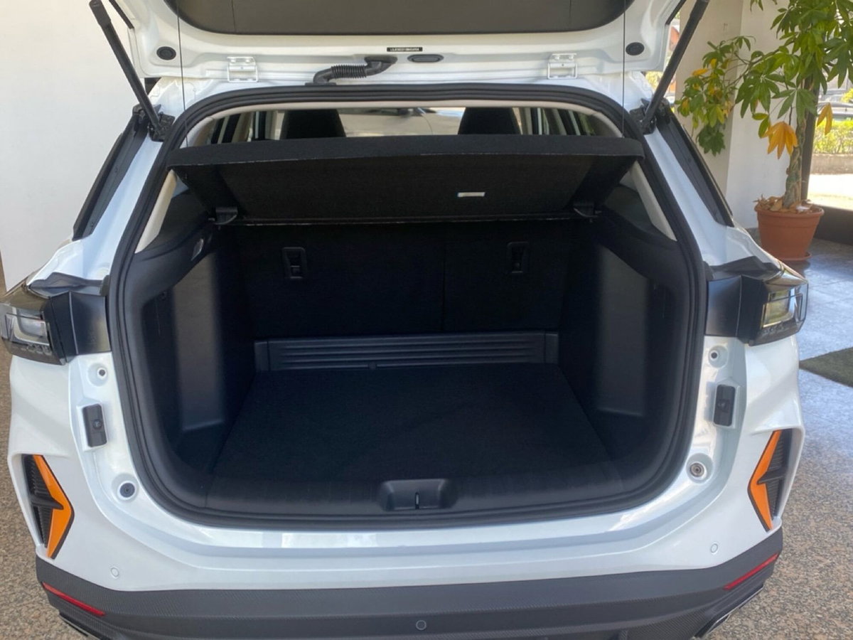 Dongfeng Shine GS  1.5 E1 dct (13)