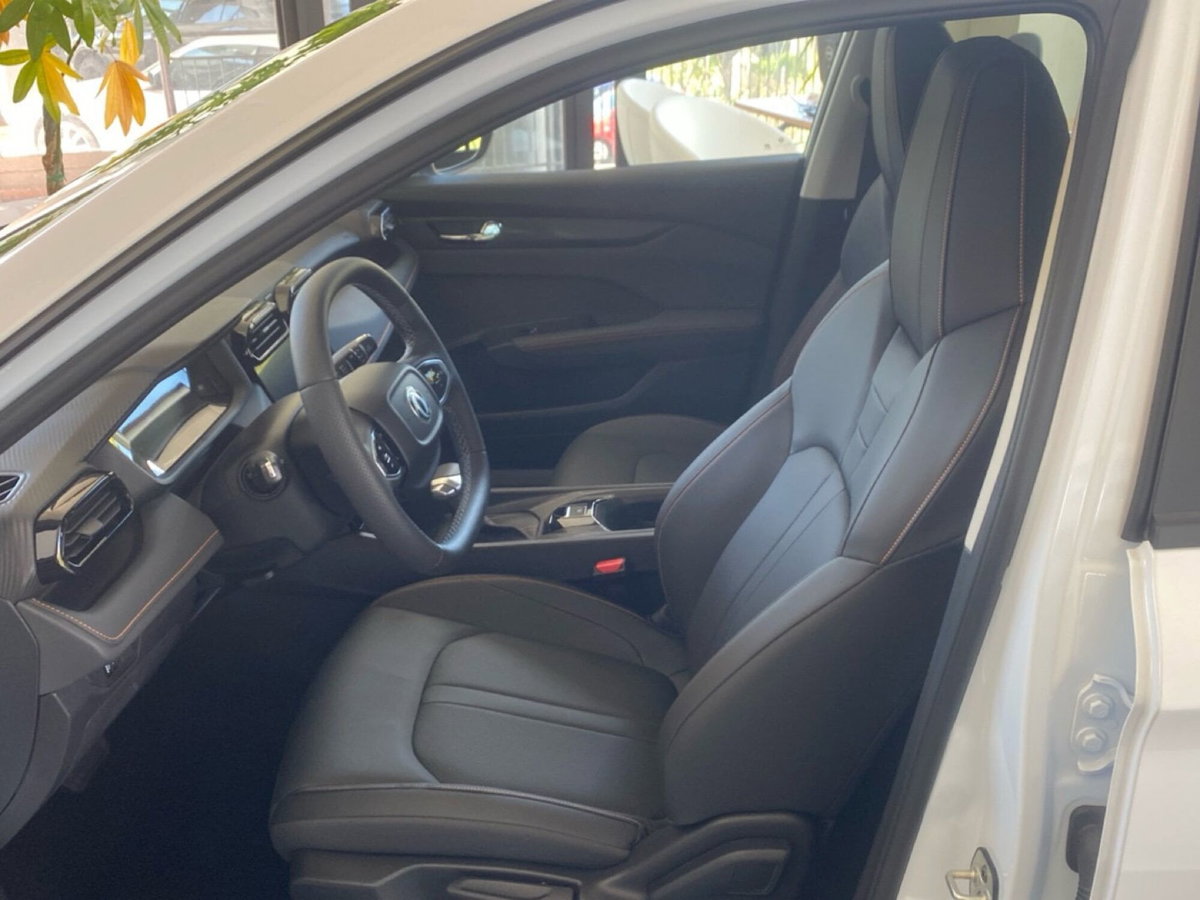 Dongfeng Shine GS  1.5 E1 dct (16)