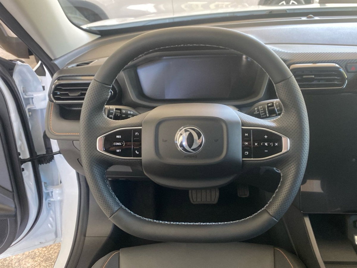 Dongfeng Shine GS  1.5 E1 dct (19)