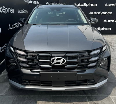 Hyundai Tucson 1.6 hev Business 2wd 239cv auto (2)