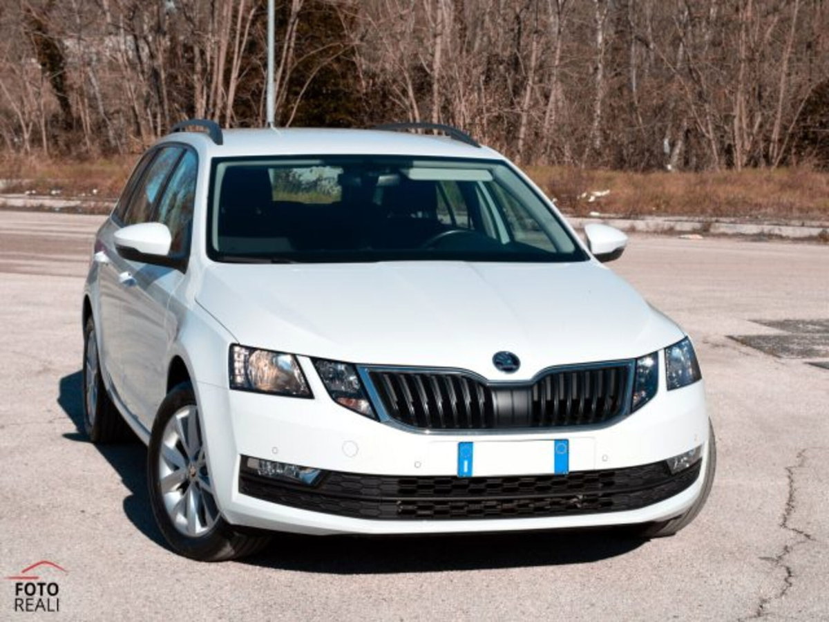 Skoda Octavia Station Wagon 1.5 G-TEC DSG Wagon Ambition (16)