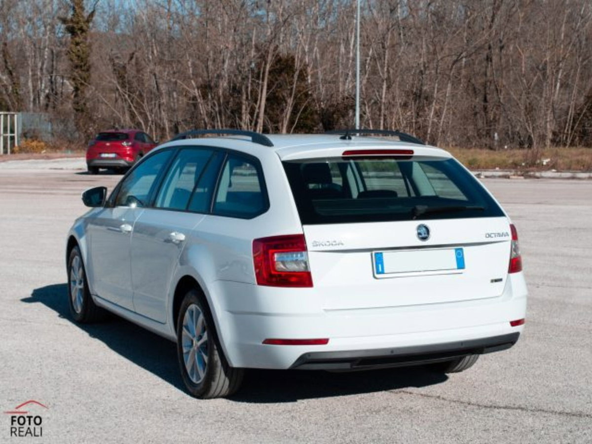 Skoda Octavia Station Wagon 1.5 G-TEC DSG Wagon Ambition (18)