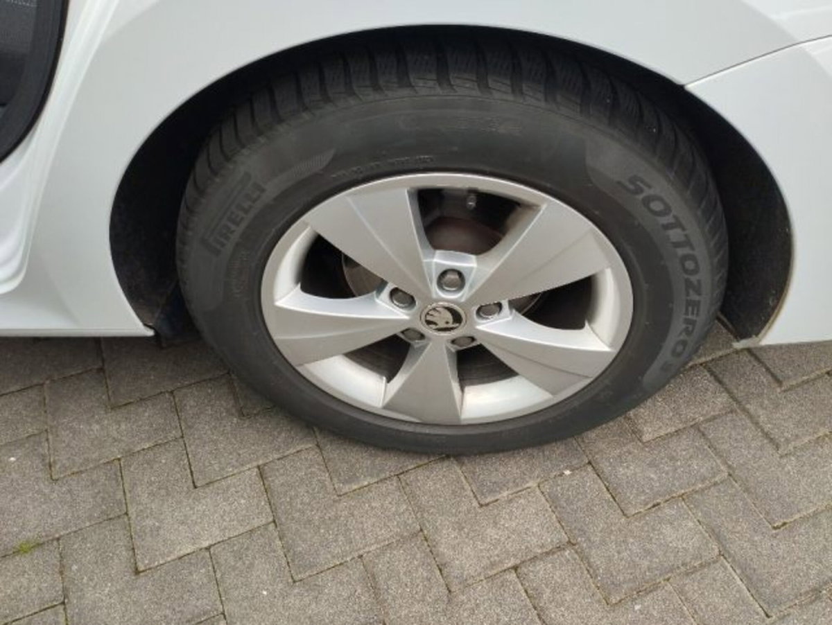 Skoda Octavia Station Wagon 2.0 TDI EVO SCR 150 CV DSG 4x4 Wagon Executive (10)
