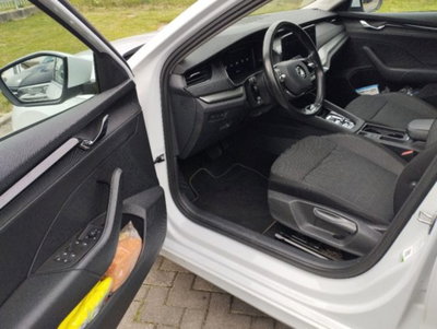 Skoda Octavia Station Wagon 2.0 TDI EVO SCR 150 CV DSG 4x4 Wagon Executive (11)