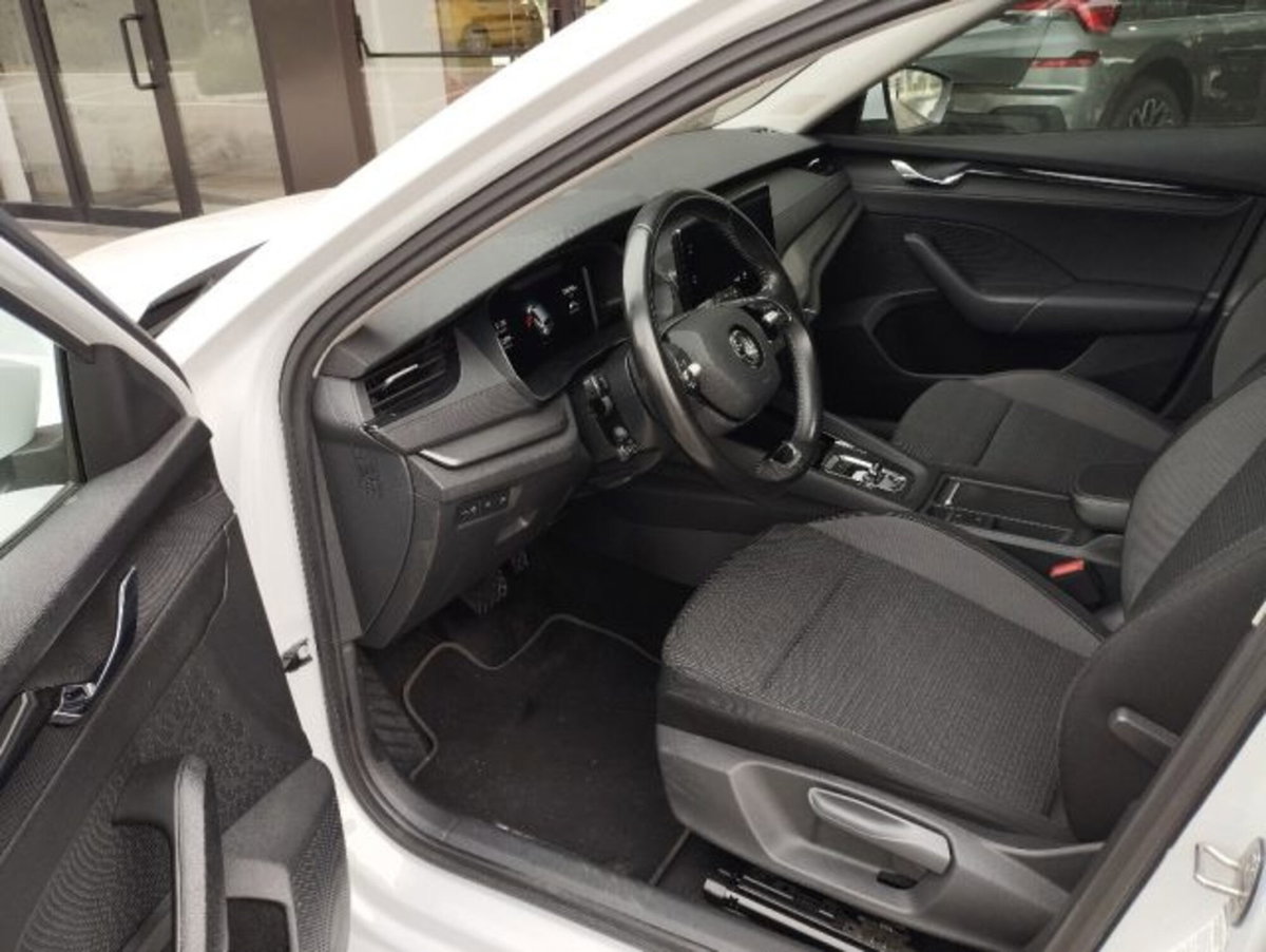 Skoda Octavia Station Wagon 2.0 TDI EVO SCR 150 CV DSG 4x4 Wagon Executive (18)