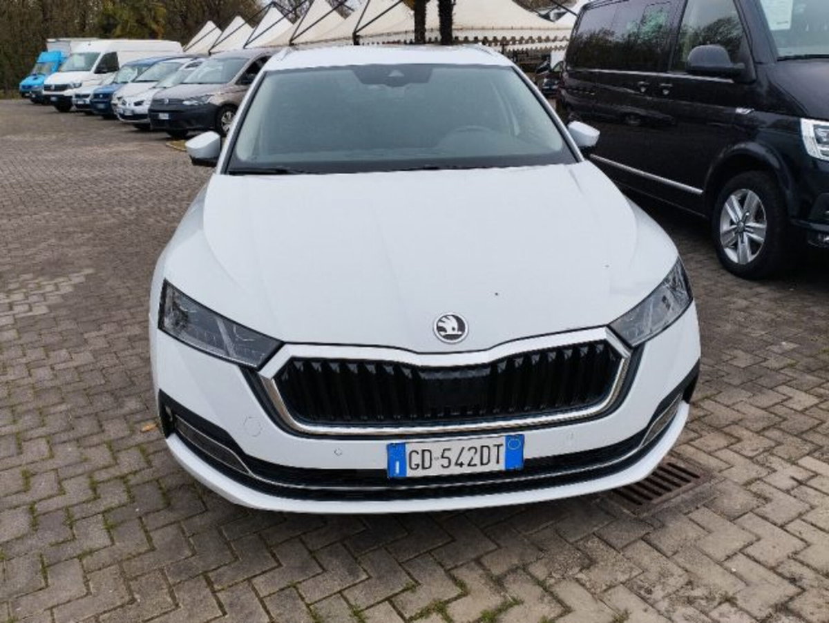 Skoda Octavia Station Wagon 2.0 TDI EVO SCR 150 CV DSG 4x4 Wagon Executive (2)