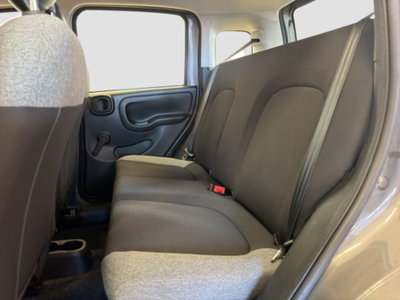 Fiat Panda 1.0 FireFly S&S Hybrid City Cross (10)