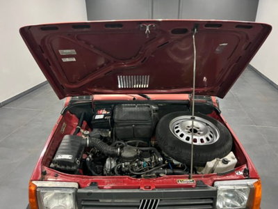 Fiat Panda 900 i.e. cat Young (14)