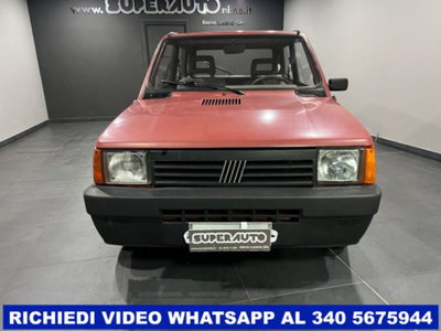 Fiat Panda 900 i.e. cat Young (2)