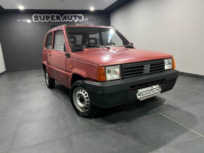 Fiat Panda 900 i.e. cat Young (3)