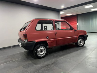 Fiat Panda 900 i.e. cat Young (4)