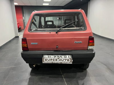 Fiat Panda 900 i.e. cat Young (5)