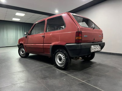 Fiat Panda 900 i.e. cat Young (6)