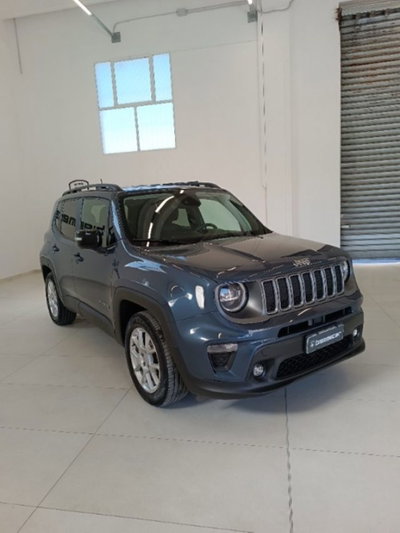 Jeep Renegade 1.0 T3 Limited (2)