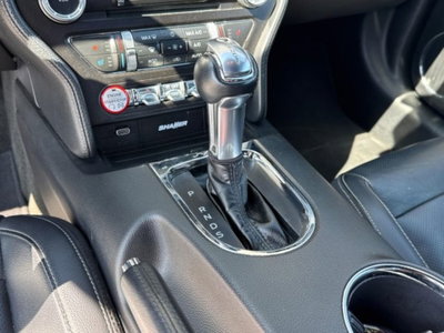 Ford Mustang Coupé Fastback 2.3 EcoBoost (10)