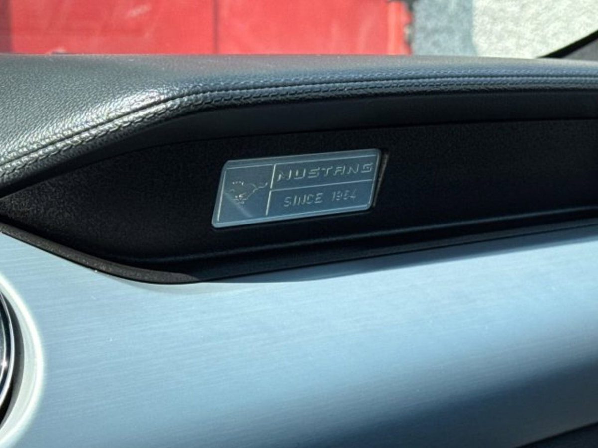 Ford Mustang Coupé Fastback 2.3 EcoBoost (11)