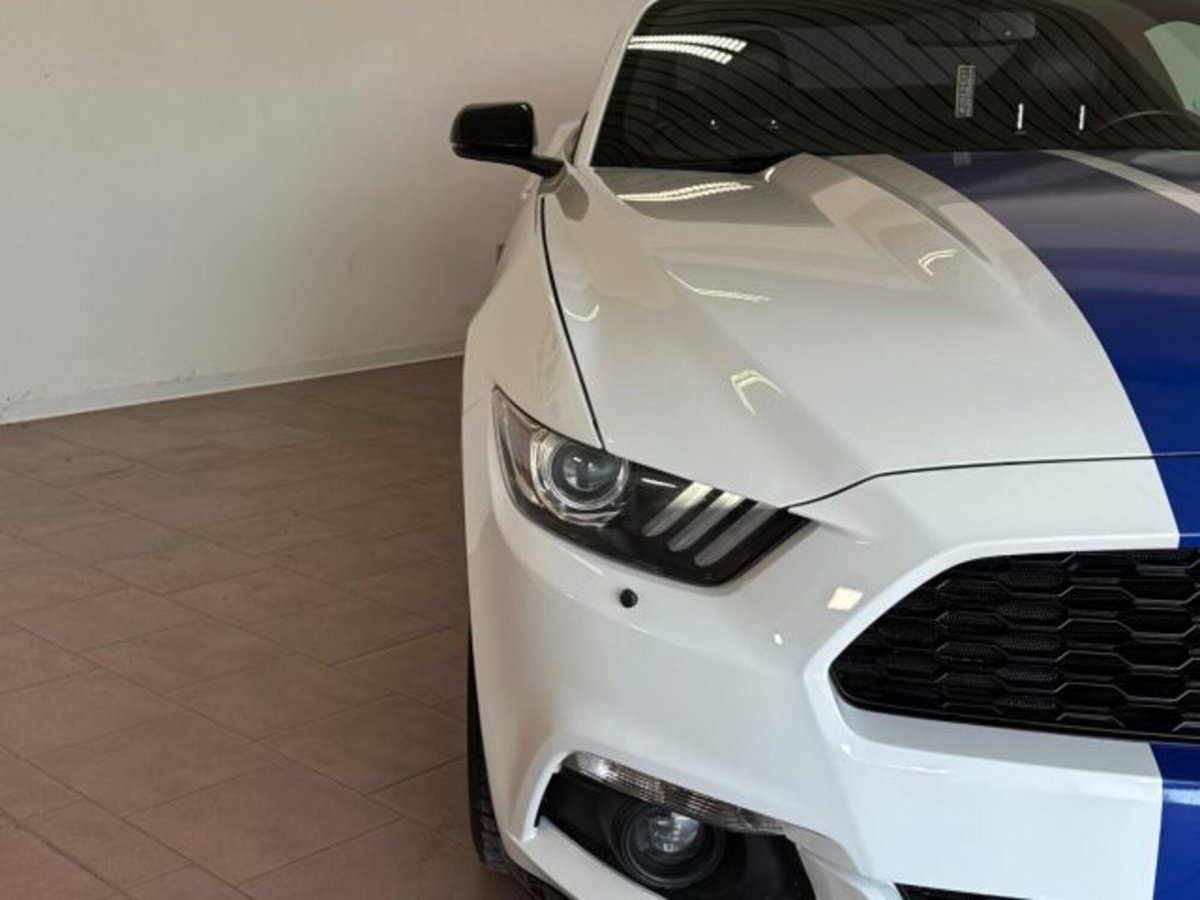 Ford Mustang Coupé Fastback 2.3 EcoBoost (13)