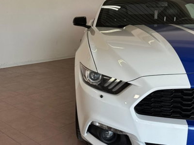 Ford Mustang Coupé Fastback 2.3 EcoBoost (13)