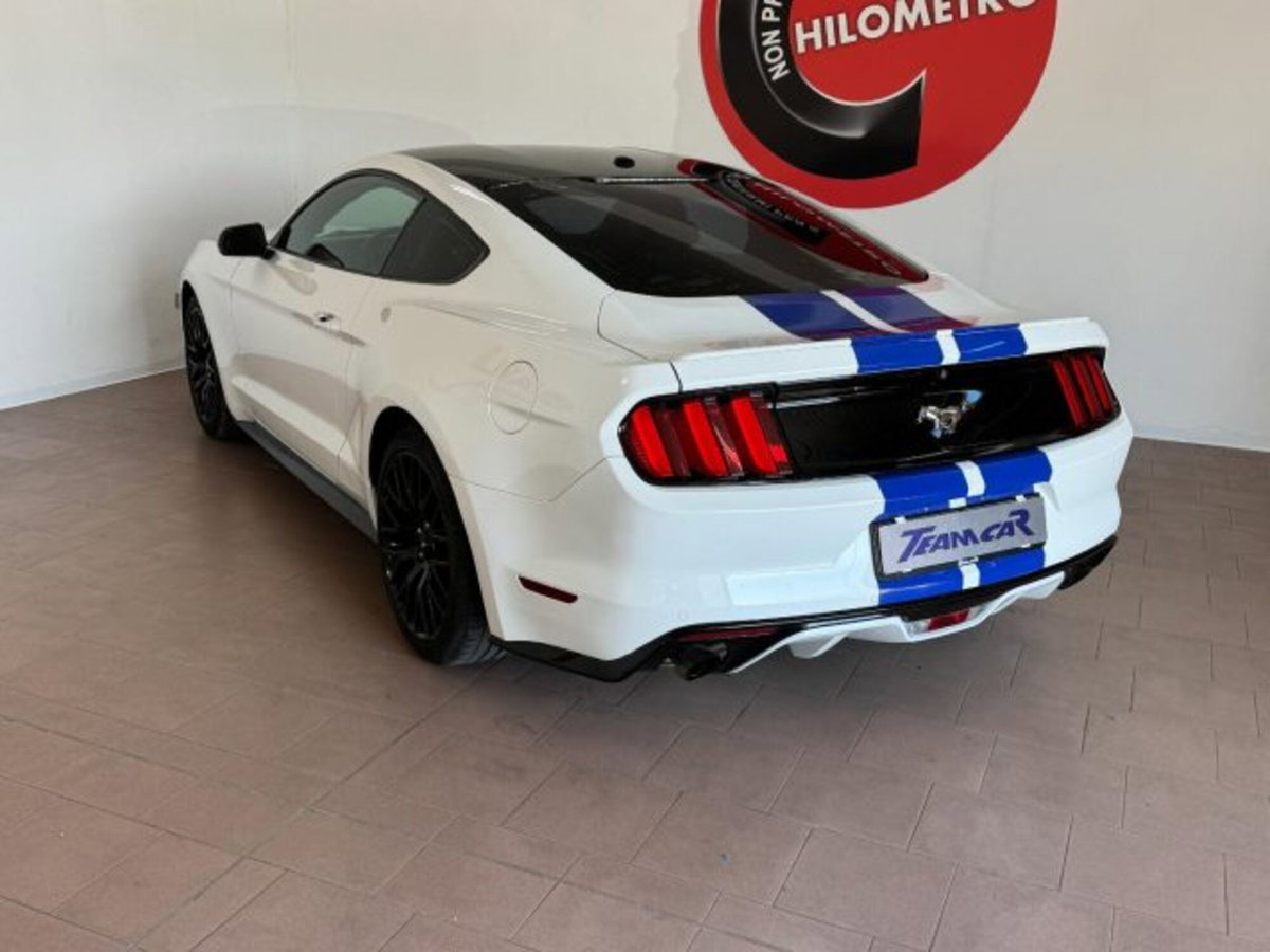 Ford Mustang Coupé Fastback 2.3 EcoBoost (18)