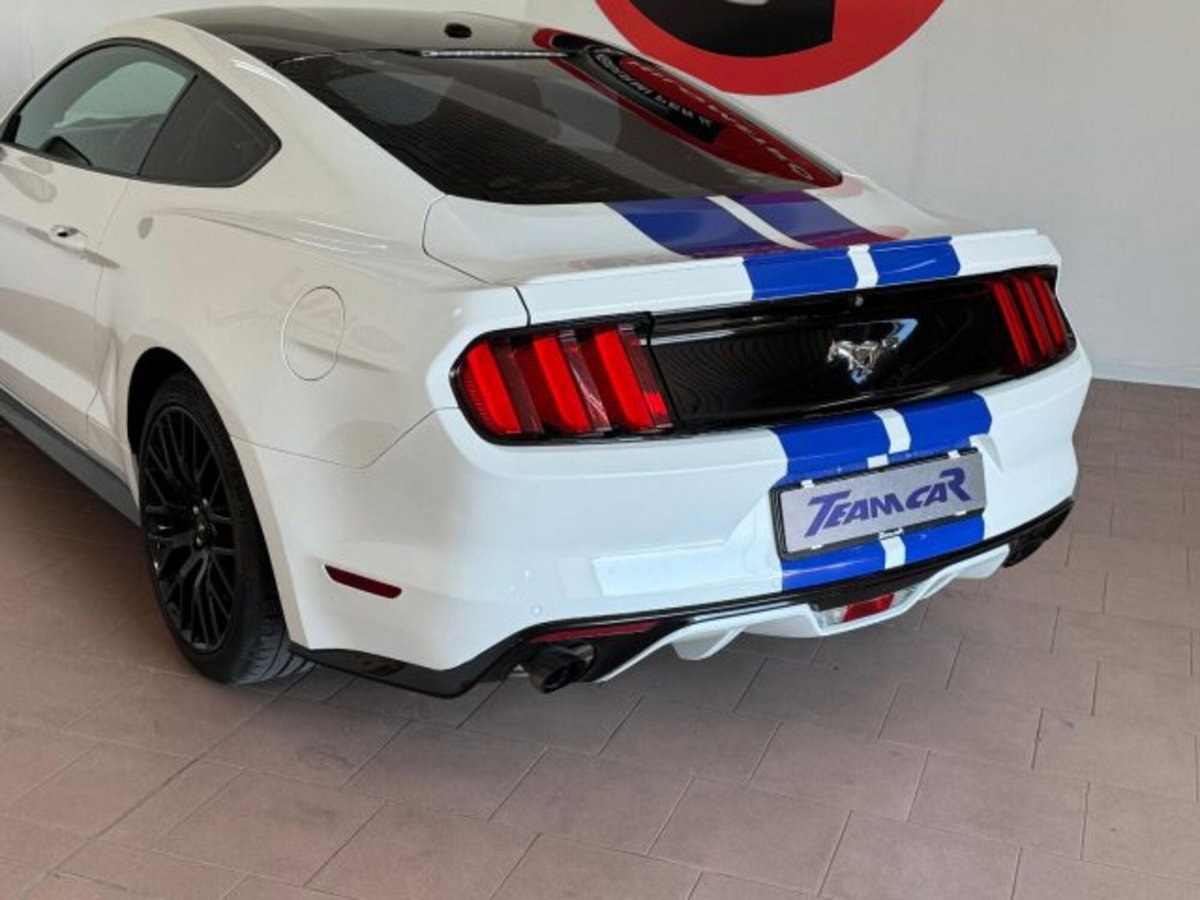 Ford Mustang Coupé Fastback 2.3 EcoBoost (19)