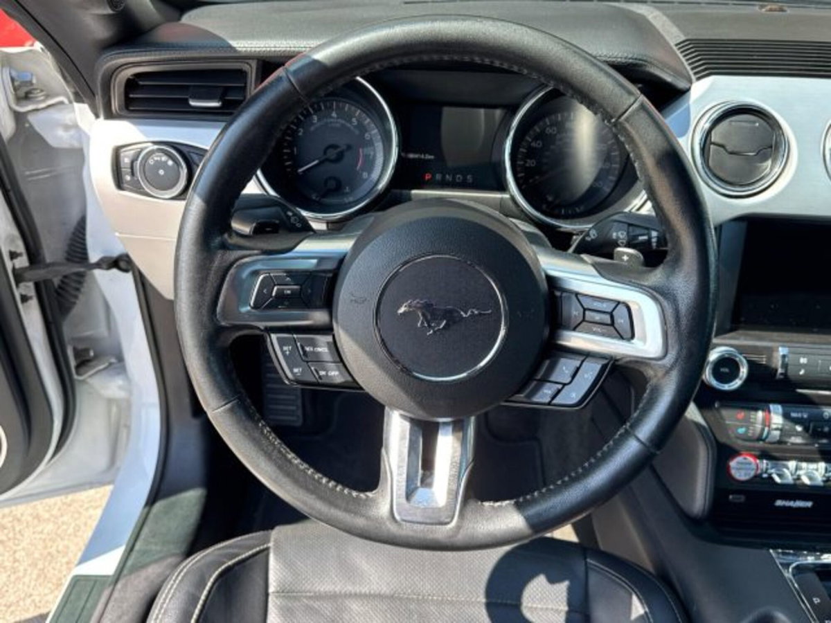 Ford Mustang Coupé Fastback 2.3 EcoBoost (8)