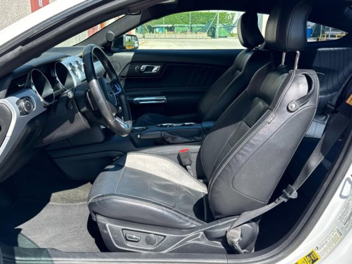 Ford Mustang Coupé Fastback 2.3 EcoBoost (9)