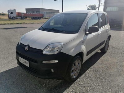 Fiat Panda 1.3 MJT 80 CV S&S 4x4 usata