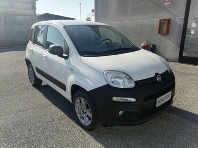 Fiat Panda 1.3 MJT 80 CV S&S 4x4 (5)