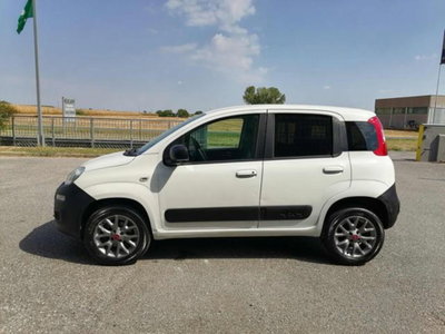 Fiat Panda 0.9 TwinAir Turbo S&S 4x4 Pop Van 2 posti (3)